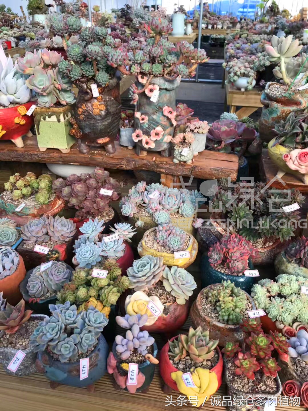 满足你对的所有幻想,满足你对生活所有的想象