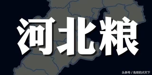 宠粮河北,怎么评价河北宠粮