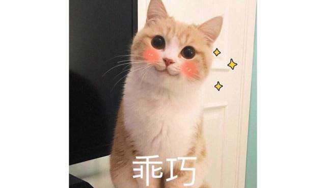 隔离推荐妆前,可以当底妆用的隔离推荐