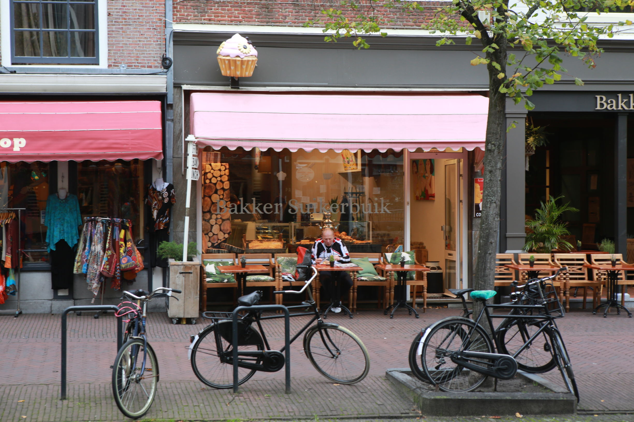 共享单车与传统自行车的对比 (共享单车与传统自行车对比)