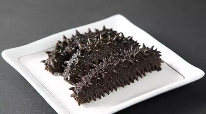 带您了解世界海参,你知道全球有多少种鲨鱼吗