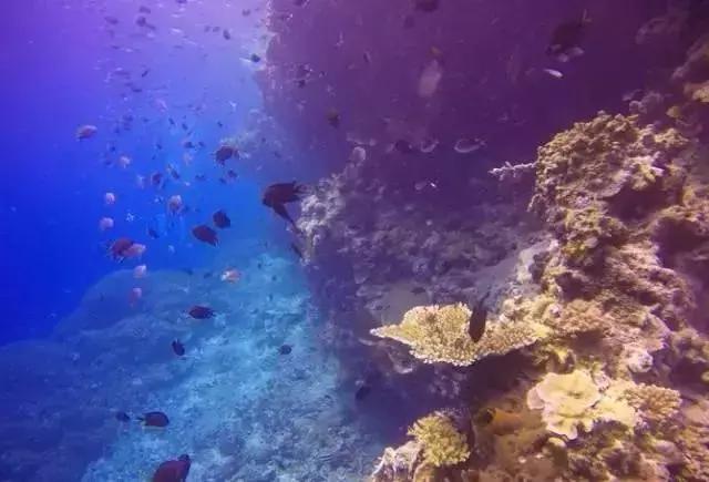 前任3美娜多,带着前任看前任3为什么都复合了