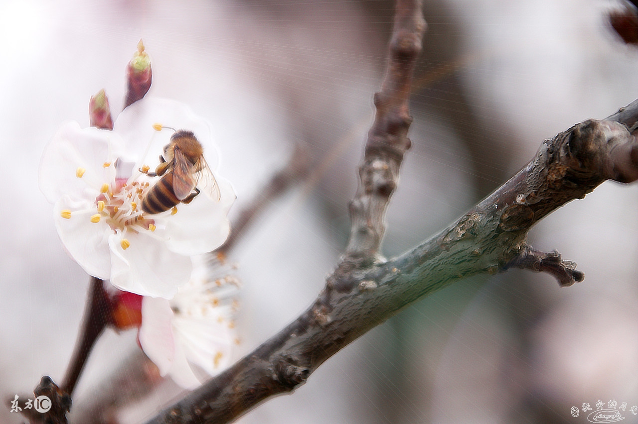 古风歌词唯美句子经典,歌词中的惊艳古风句子