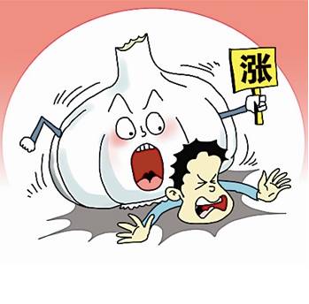 肃南最近有什么活动,肃南今天信息