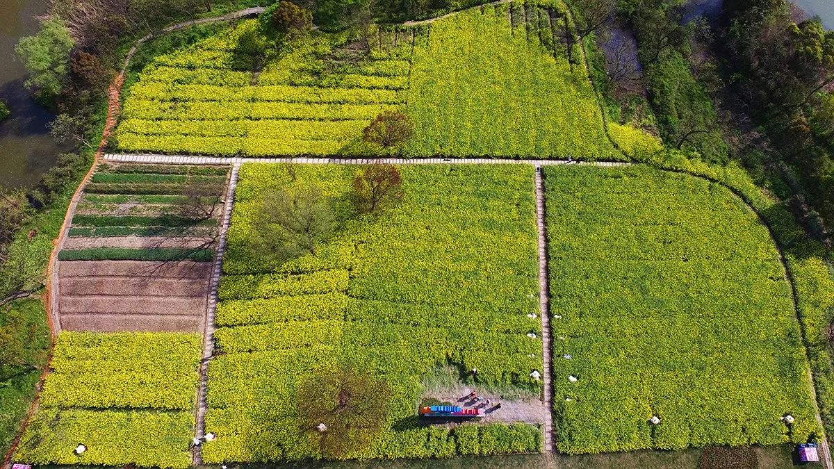 好天气不出门晒太阳,大好的天气不出门