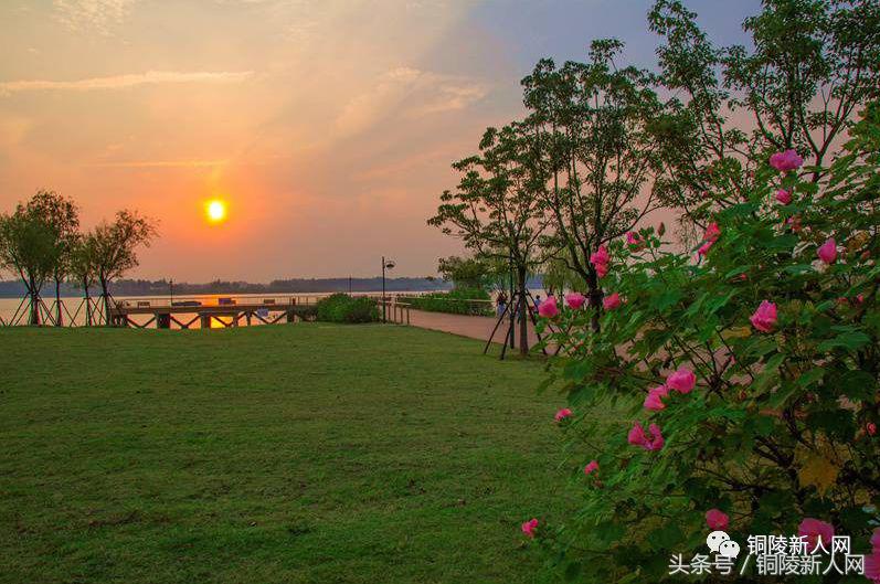 安徽铜陵市城市排名,中国综合实力城市排名铜陵