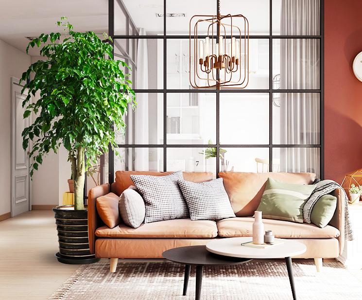 在网上买盆栽买什么好,盆栽是进货好还是自己种