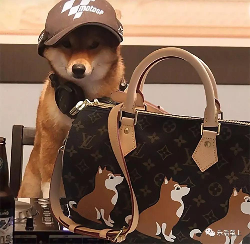 lv新年限定包包,gucci新春限定系列