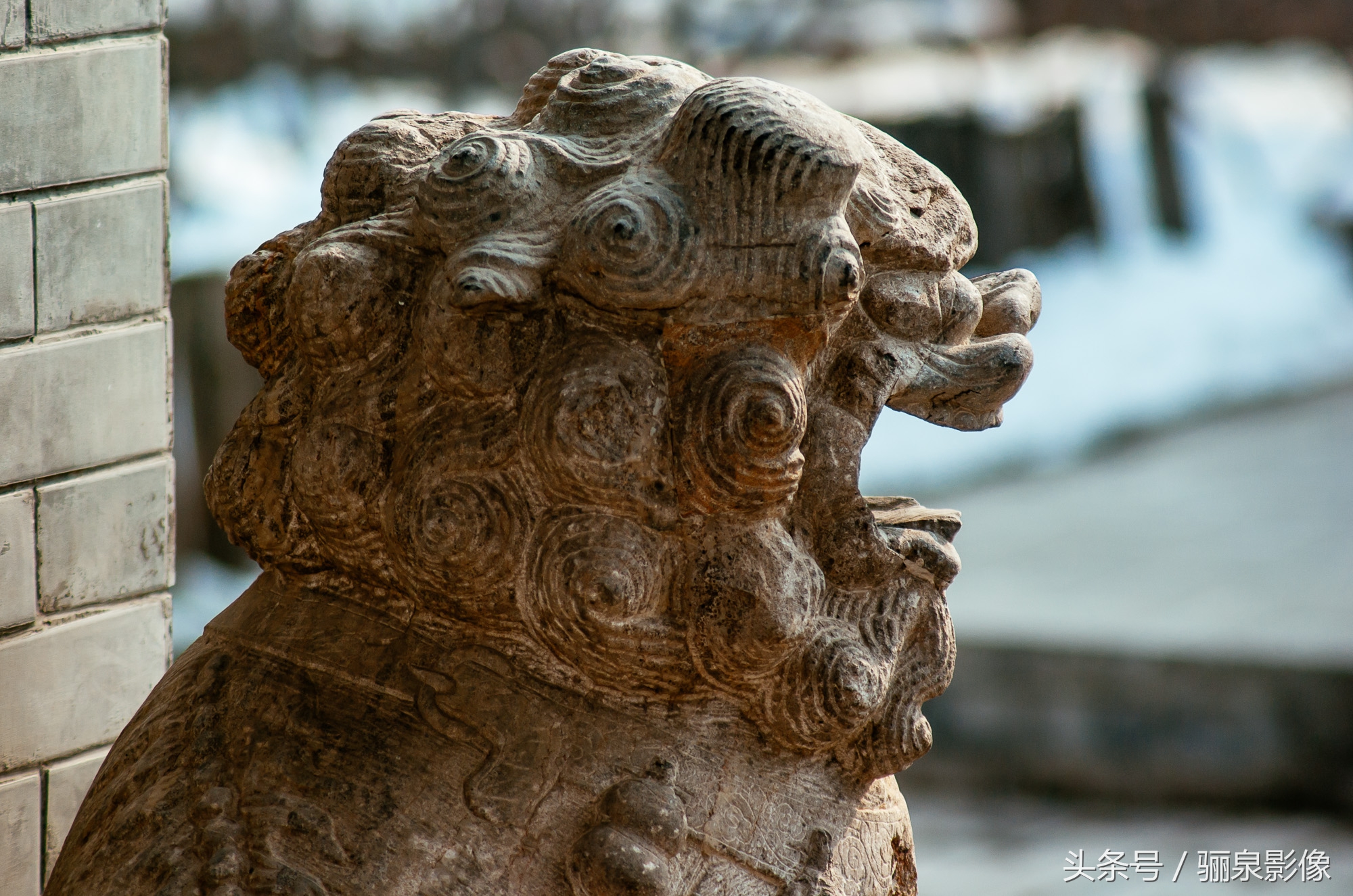 宾得相机推荐型号有哪些,宾得的相机怎么样
