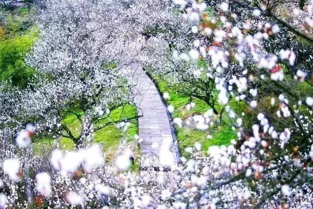 2019国内最美旅行时间表出炉,浙江最美旅游日历