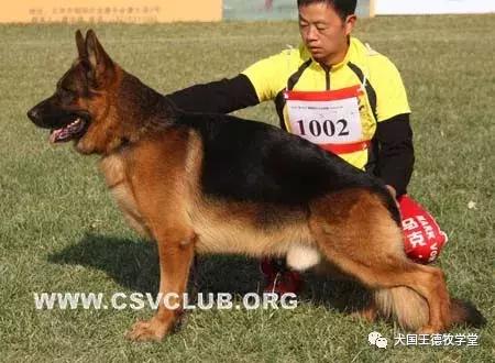 寰峰浗stg44绐佸嚮姝ユ灙,寰峰浗sg4椹厠