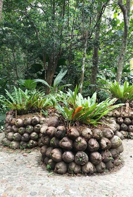 海南旅游不可错过的四大美食,去海南旅游绝不能错过的风味小吃