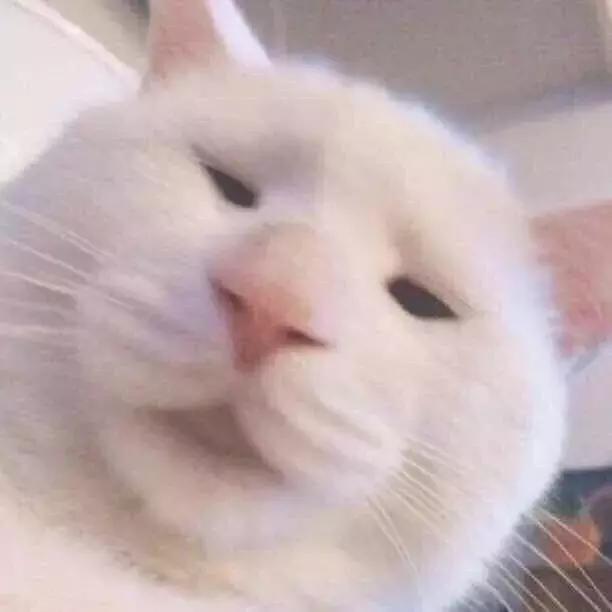 妆前保湿到什么程度可以涂隔离,妆前和隔离是一回事吗