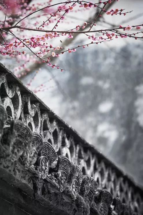 宏村和歙县古城哪个更好,歙县古城和宏村哪个更值得去