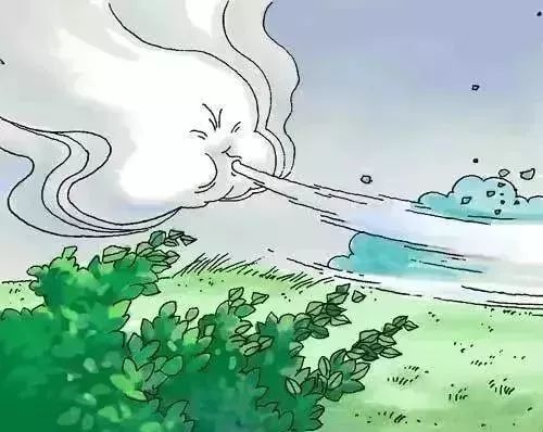 阳台种菜的方法和技巧大全集,阳台种菜的方法和步骤图