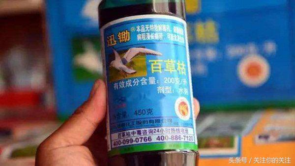 有毒有害食品终身禁业,销售有毒有害食品法院判终身禁业