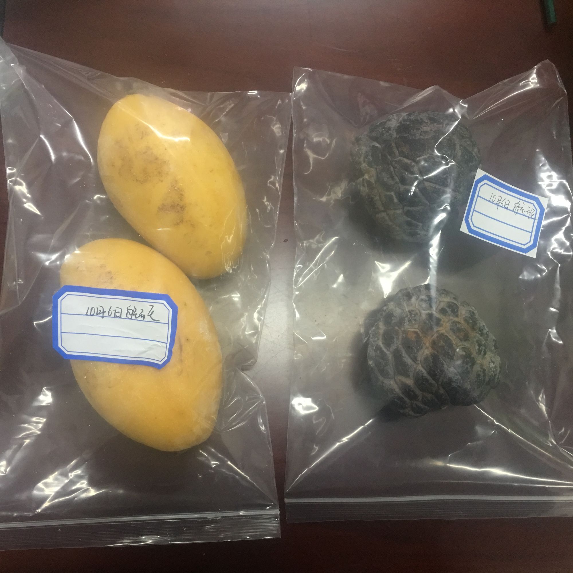 回国禁止携带的东西,海关总署禁止携带动植物