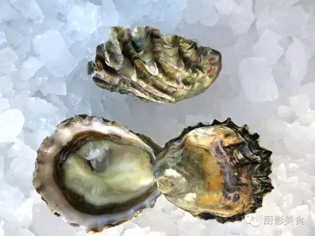西雅图海边生蚝,全球最好吃的生蚝牡蛎