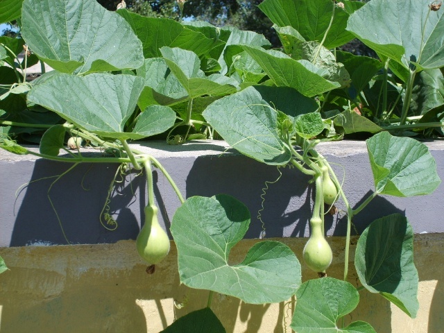 铁岭调兵山的传说,铁岭调兵山的来历是什么