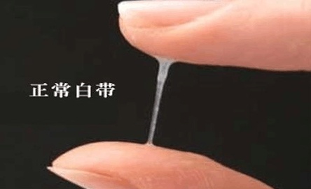 女孩子白带异常用什么药,女子白带异常用什么药