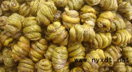 铁皮石斛组培室建设需投资多少,优质铁皮石斛瓶苗种植流程