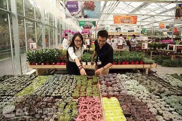 再上22天班，郑州人集体放假！做完这16件事，就过年啦！