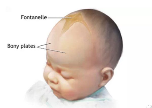 宝宝这几个部位不能太干净,新生儿这3个部位再脏也不要洗