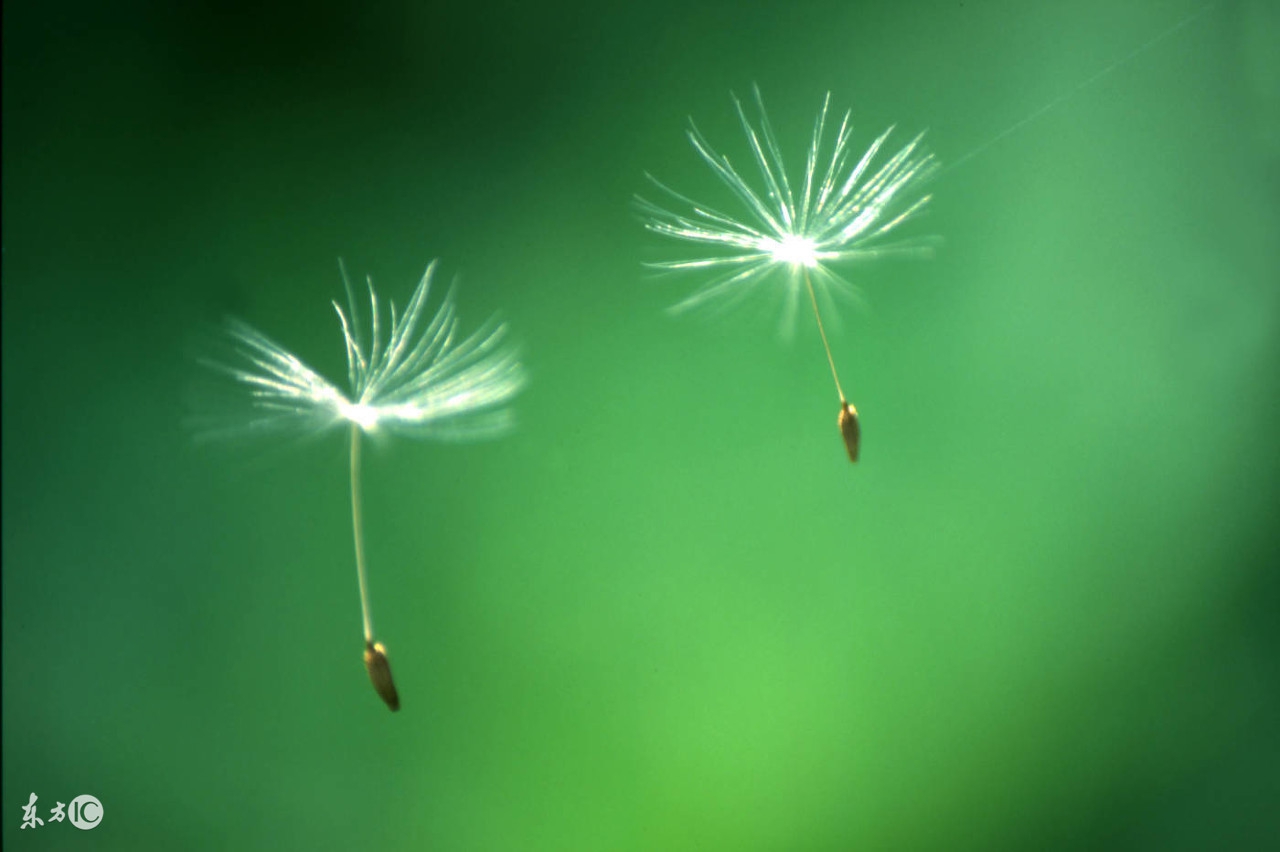 10位焦虑抑郁患者的真实康复经历,真正的抑郁焦虑患者康复自述