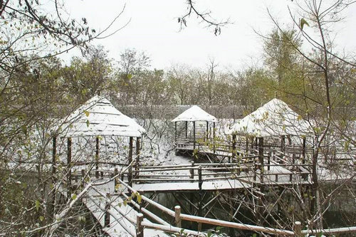 郑州周边好玩的地方推荐冬季,郑州周末去哪里玩不带孩子