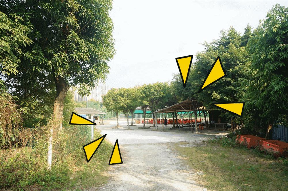 佛山禅城区免费球场,佛山业余足球场