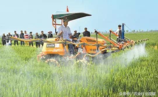 大深度,农服领域创业