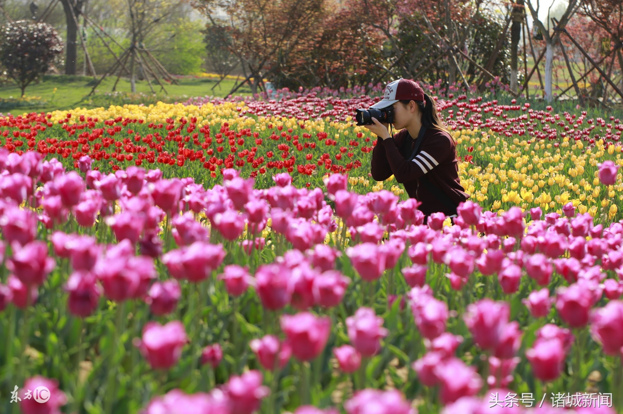 2023诸城纳税企业排名,诸城百强企业名单公布最新