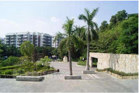 深圳宝安公园游玩攻略,深圳宝安最大的公园
