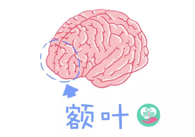 阿尔茨海默症和老年痴呆怎么确诊,阿尔茨海默症症状与老年痴呆