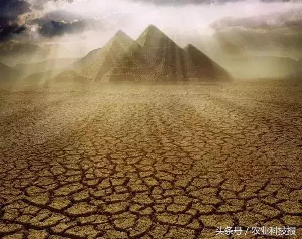 土壤墒情怎么检测的,学农学有关植物资料怎么找