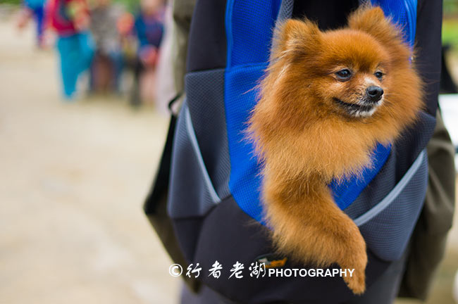 最新粤北环线规划图,广州粤北小环线