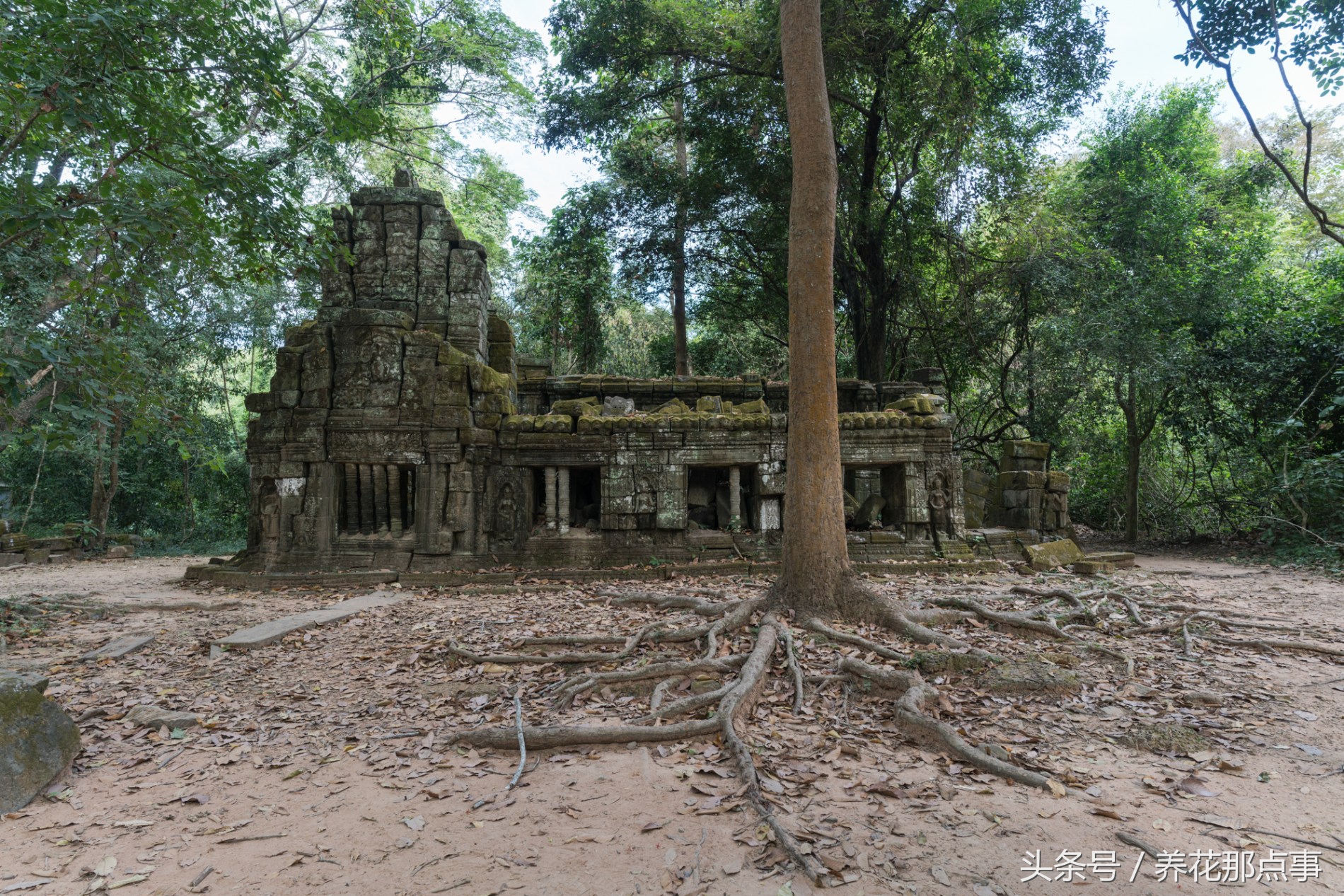 去暹粒旅游需要注意什么,去暹粒旅行自由行攻略
