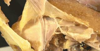 吃遍梅州梅县,一天吃遍梅州