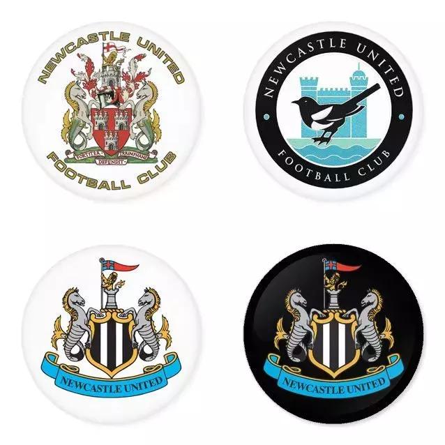 海鸥老鹰大雁,海鸥老鹰孔雀