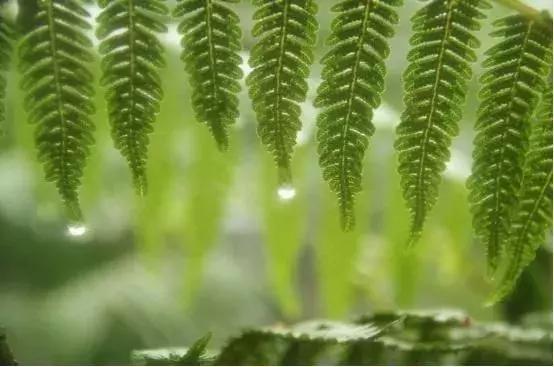 犍为县有哪些地方可以考普通话,犍为县千年古县