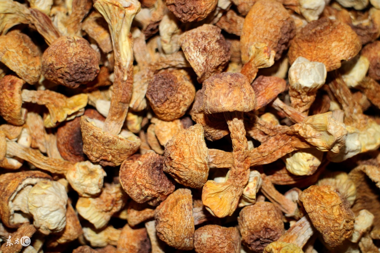 种植大棚一年收入15万元,一年种植20亩地能挣多少钱