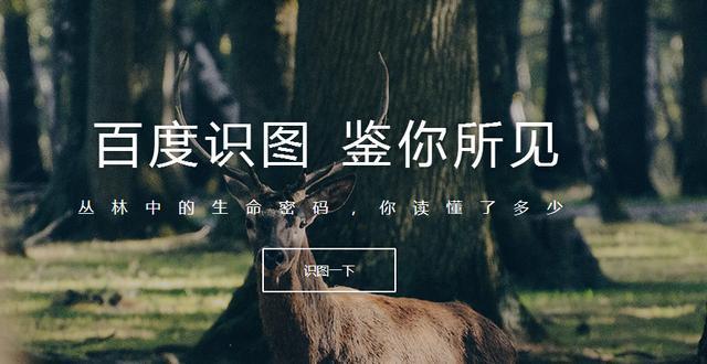 你真的会用抖音吗,你真的会用苹果手机吗