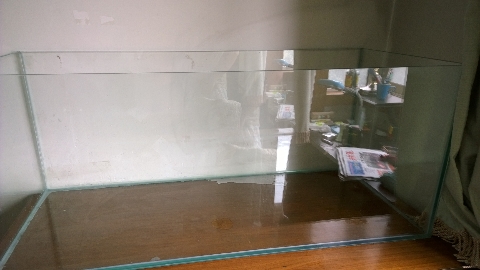 巨头蛋龟饲养环境造景,养龟养鱼生态缸