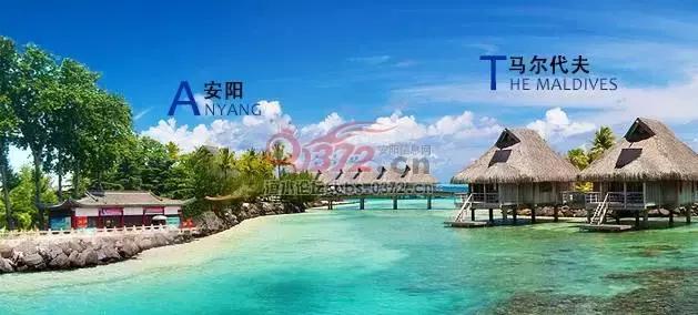 美哭了！当安阳与世界“相遇”