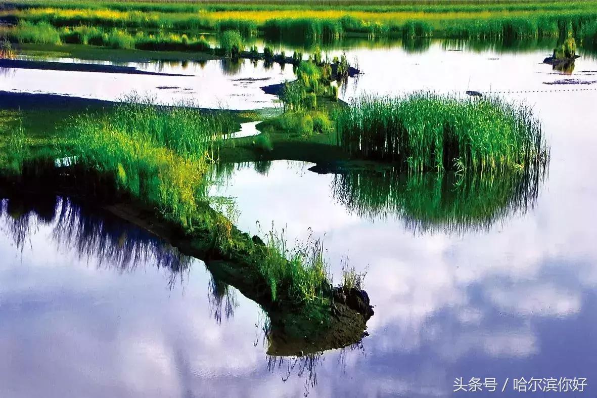 2018年哈尔滨各区县排名,2018年哈尔滨各区gdp