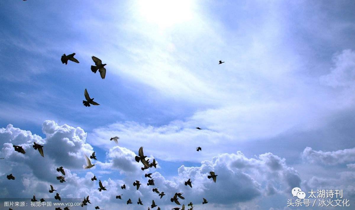 千字文一段,千字文写尽人生