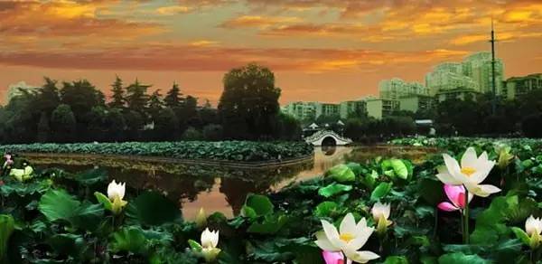 衡阳处于几线城市,衡阳是几线城市