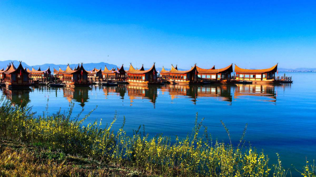 春城秀红嘴鸥图片,春城冬日美景