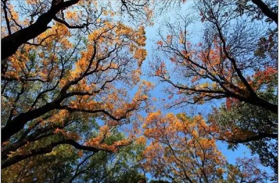 2018涓夋槑鏃呰鏃ュ巻,涓夋槑鏃呮父鏀荤暐鎬荤粨