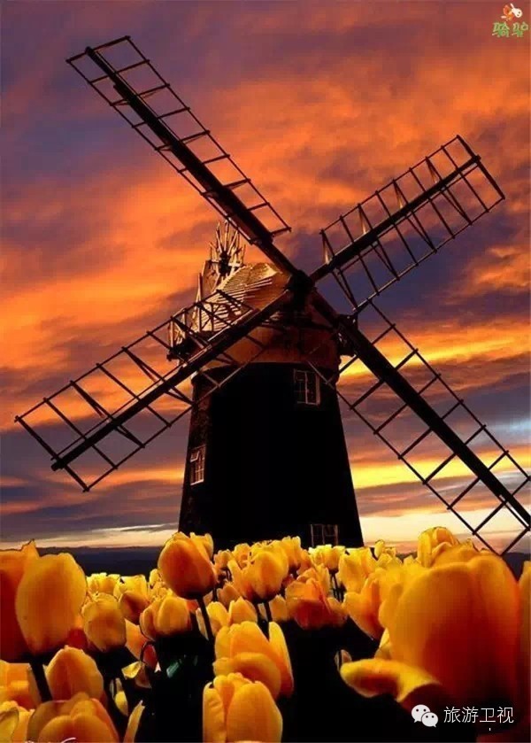 已经开放旅游签证申请的国家,现在开放旅游签证的国家